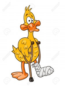 Lame duck with pair of crutches. Funny cartoon character