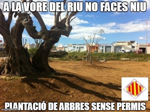 Nova sentencia dels Arbres del Riu