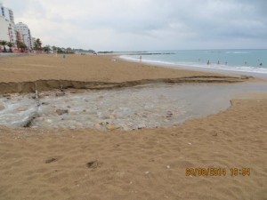 IMG_0707