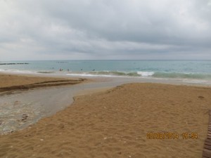 IMG_0708