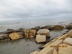 IMG_0712