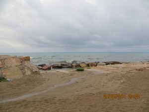 IMG_0716