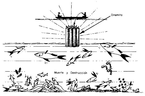 Vinaròs i la pesca de la llum