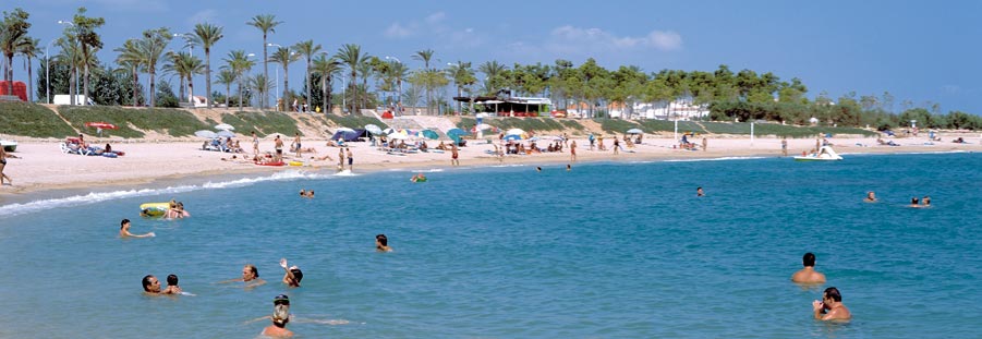 La pluja diuen que purifica i Vinaròs emmerda la platja (3)