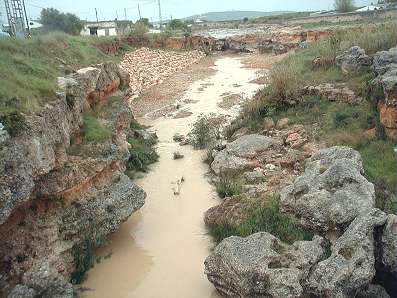 CONTAMINACIÓ DEL SERVOL (I)