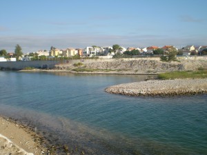 Contaminació del Riu Cérvol i de la Mediterrànea